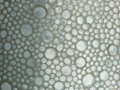 glassspace thumbnail