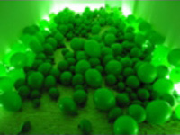 Green Balloonサムネイル
