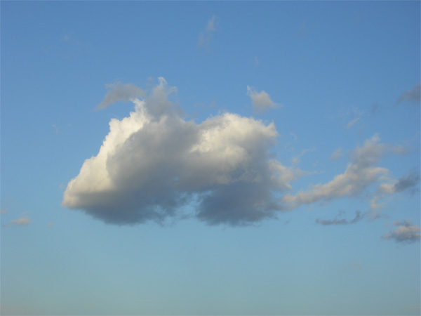 image photo