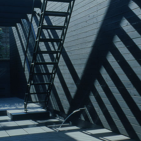 House of shadowsサムネイル