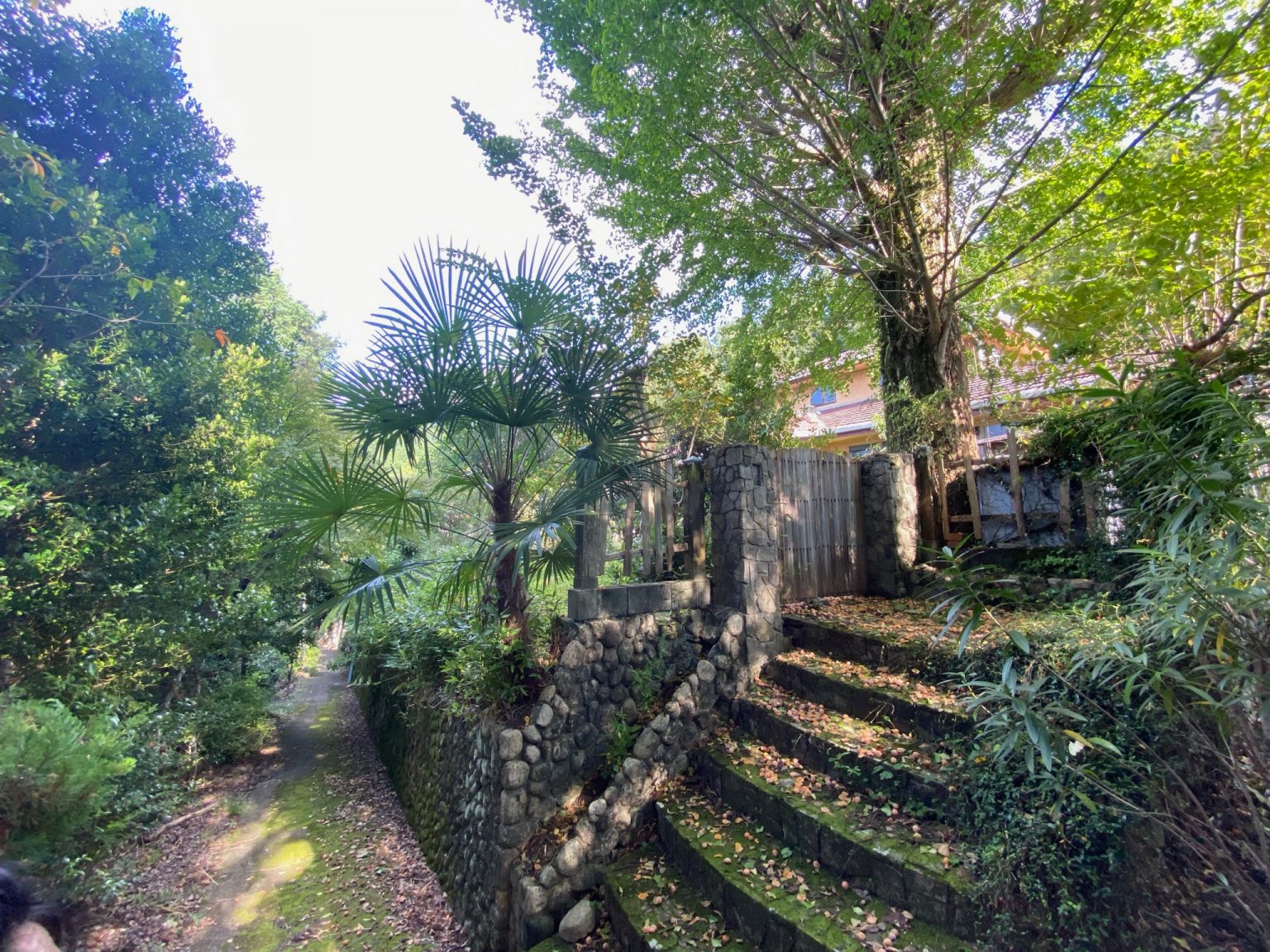 To the actual measurement survey! Kyoto Kujoyama Project
